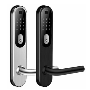 BG3000 smart lock TT lock App